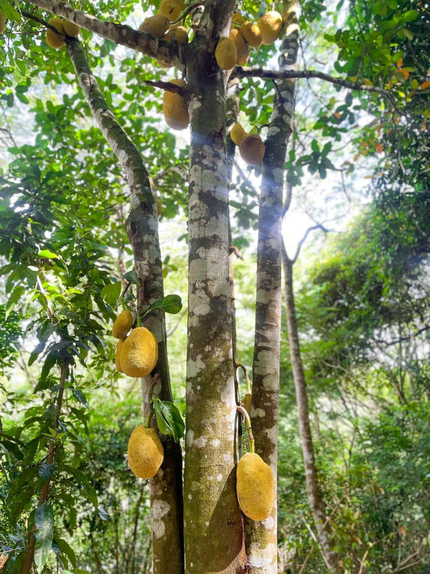 Olho D'Água Pousada Guaramiranga Exterior foto